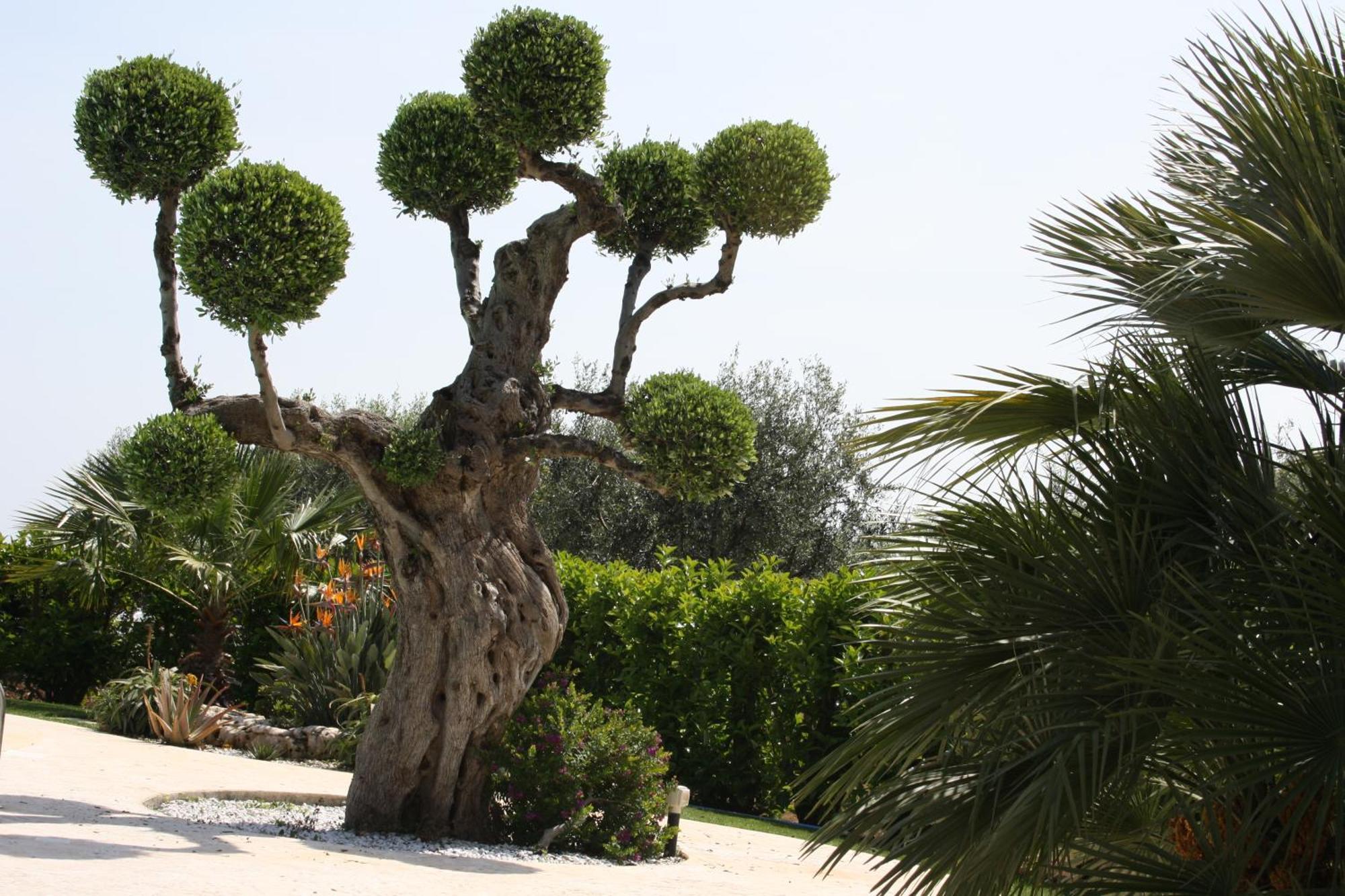 Villa Tonia Fasano Luaran gambar